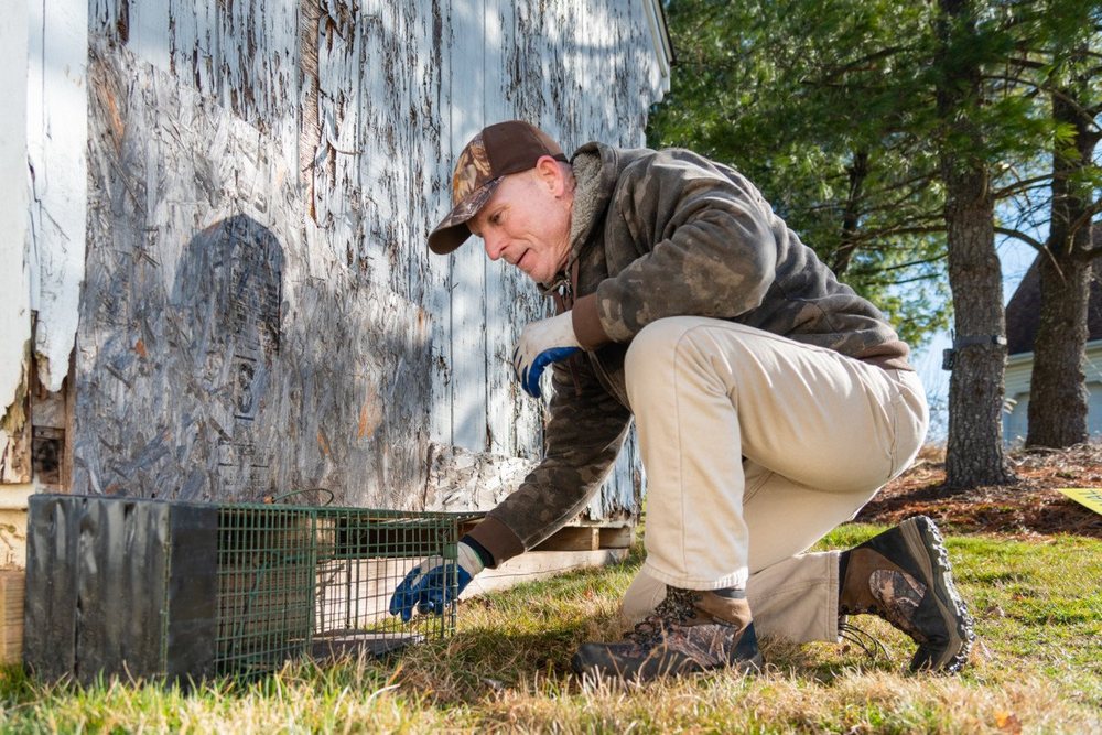 DelVal Wildlife Nuisance Control Image